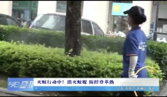 預(yù)防登革熱·市除四害公司積極開展滅蚊行動